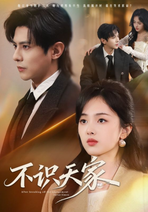 不识天家（69集）火爆短剧推荐