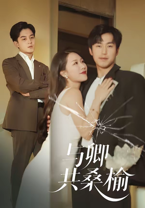 与卿共桑榆（63集）免费在线看