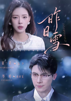 昨日雪（70集）看到了大结局