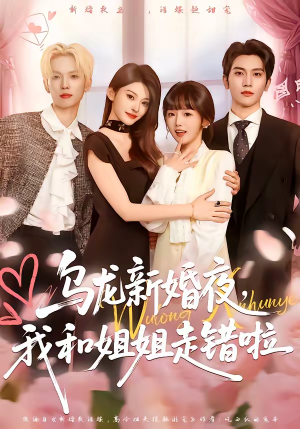 乌龙新婚夜，我和姐姐走错啦（59集）夸克在线观看