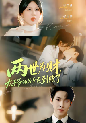 两世为财，太子爷的分手费到账了（61集）我真的爱了