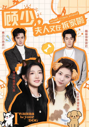 顾少，夫人又在拆家啦（78集）看到了大结局