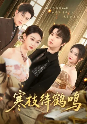 寒枝待鹤鸣（70集）免费短剧看全集