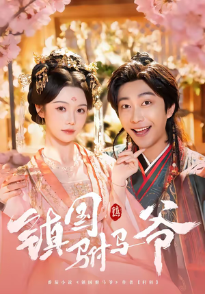 镇国驸马爷（92集）全集下载