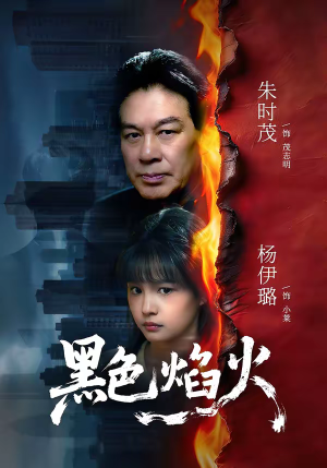 黑色焰火(41集) 黑色焰火(41集)好短剧分享