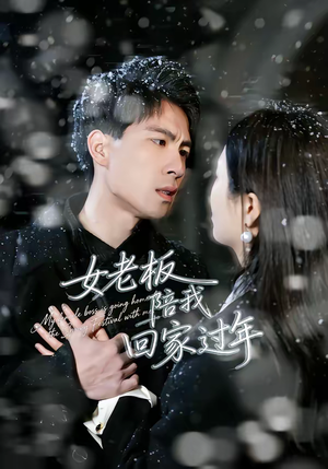 女老板陪我回家过年(40集) 女老板陪我回家过年(40集)火爆短剧推荐