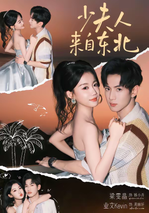 少夫人来自东北（80集）360网盘观看